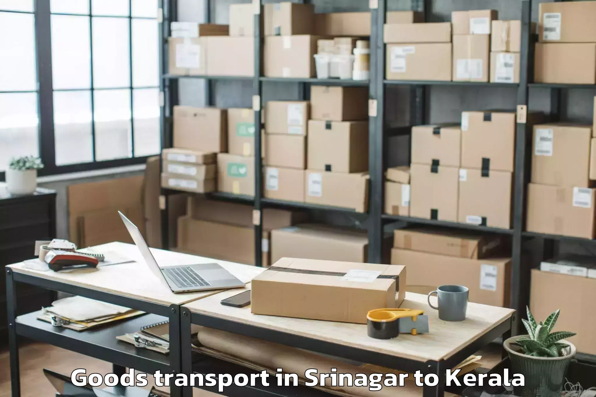 Quality Srinagar to Thodupuzha Goods Transport